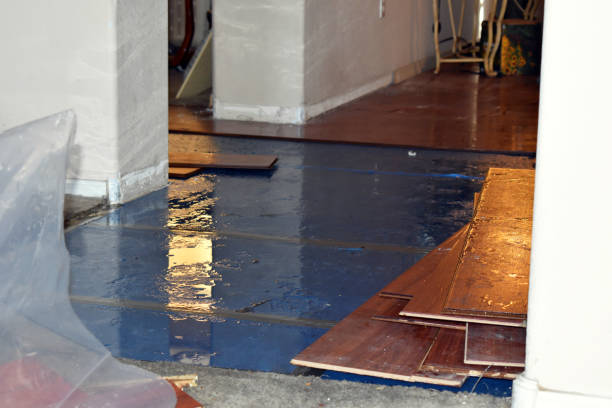 Professional Water Extraction technician working in Burlington, OH